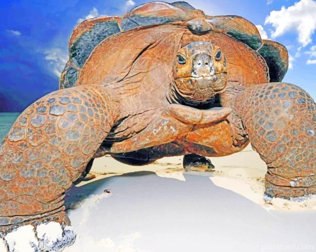 Huge Island Turtle Painting By Numbers Kits