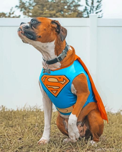 Super Dog Painting By Numbers Kits