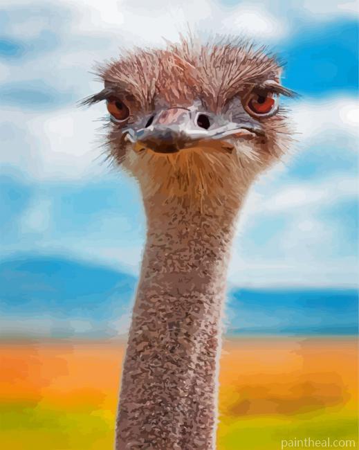 Ostrich Animal Painting By Numbers Kits