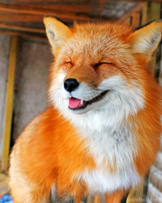 Happy Fox Painting By Numbers Kits