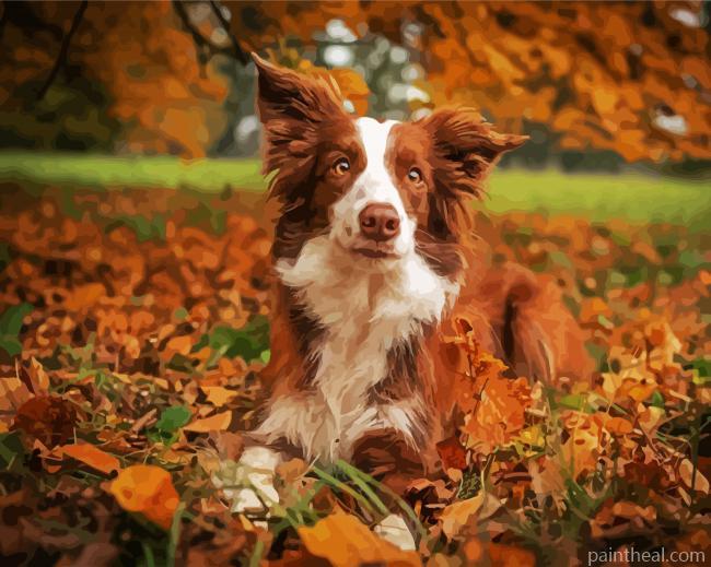 Brown Collie Painting By Numbers Kits