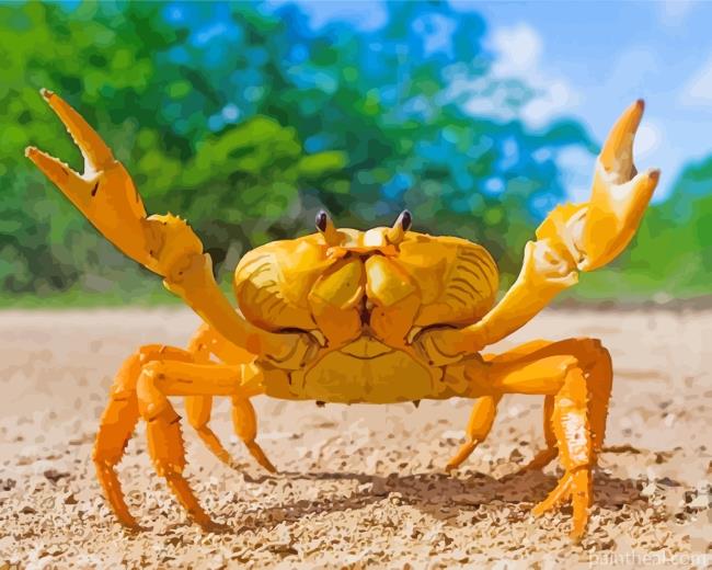 Yellow Crab Painting By Numbers Kits