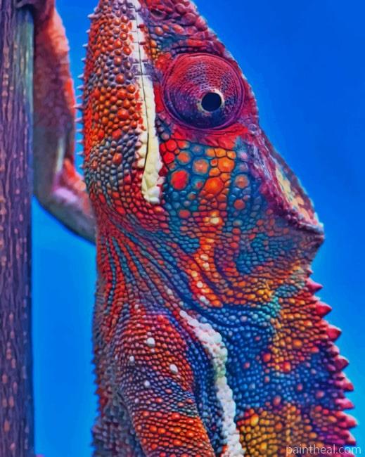 Panther Chameleon Reptile Painting By Numbers Kits