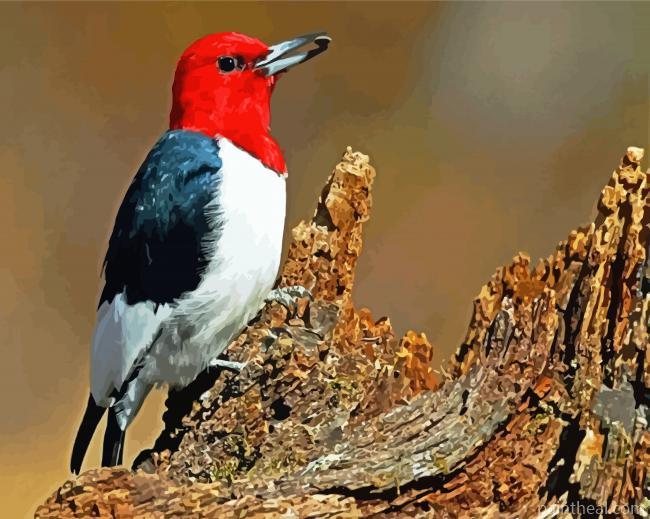 Aesthetic Woodpecker Painting By Numbers Kits