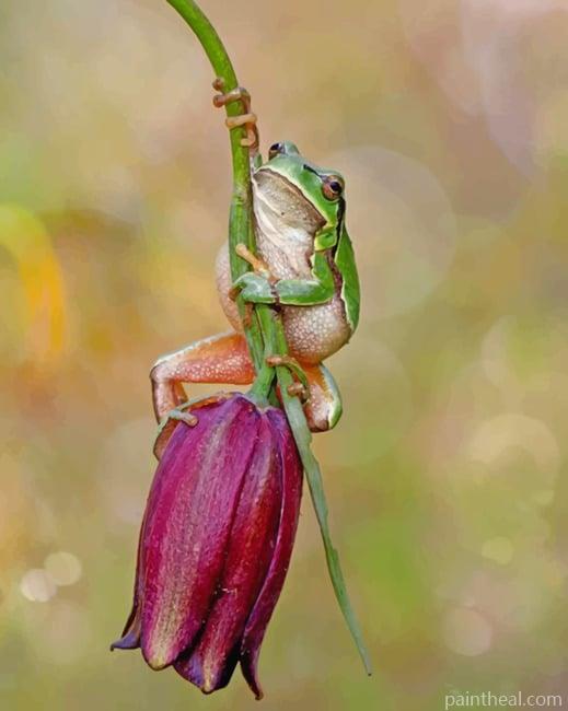 Cute Frog On A Flower Painting By Numbers Kits