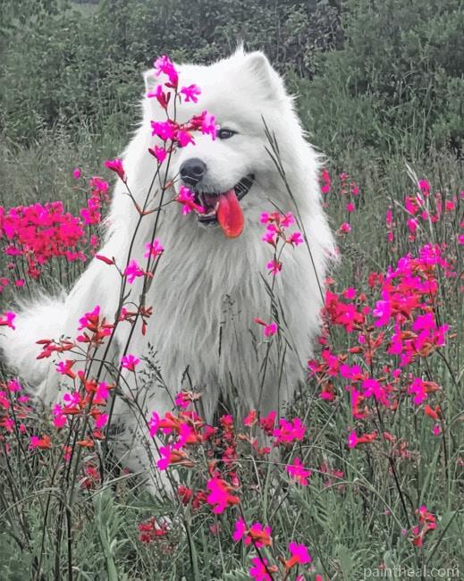 White Dog Painting By Numbers Kits