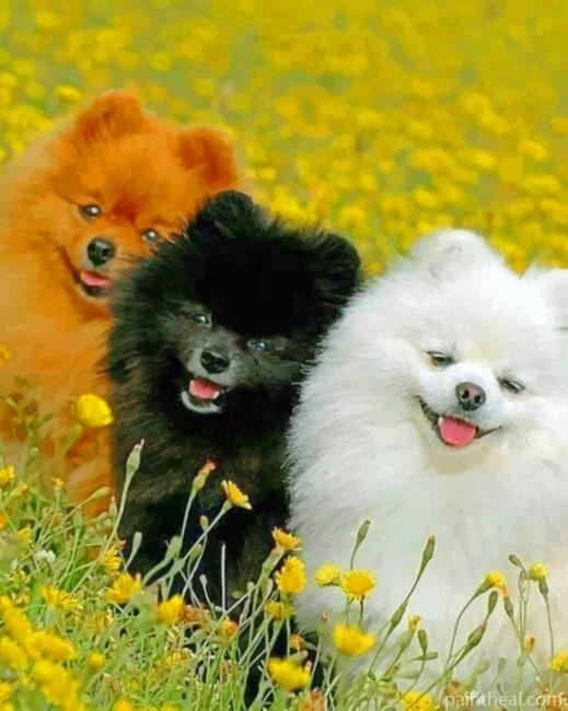 Three Puppies Painting By Numbers Kits