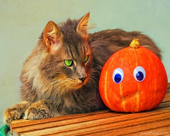 Cat With Jack O Lantern Painting By Numbers Kits