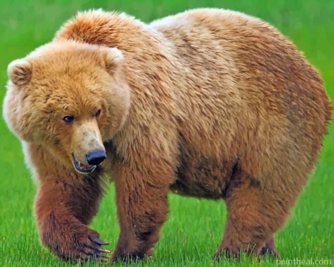 Huge Brown Bear Painting By Numbers Kits