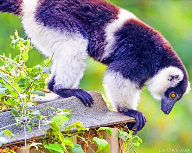 Lemur Animal Painting By Numbers Kits