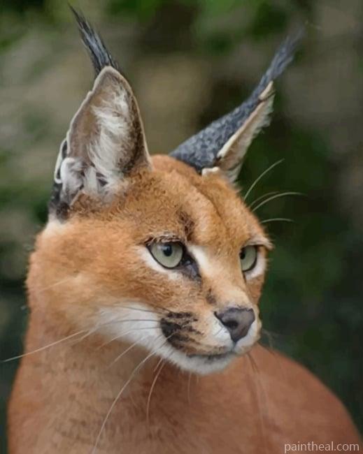 Caracal Cat Face Painting By Numbers Kits