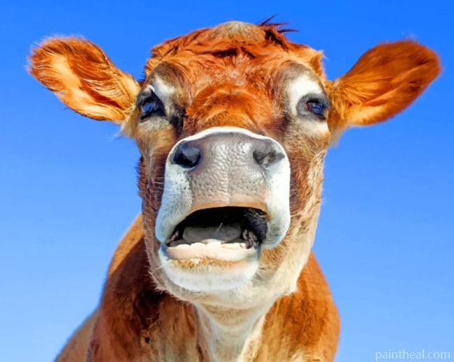 Close Up Cow Painting By Numbers Kits