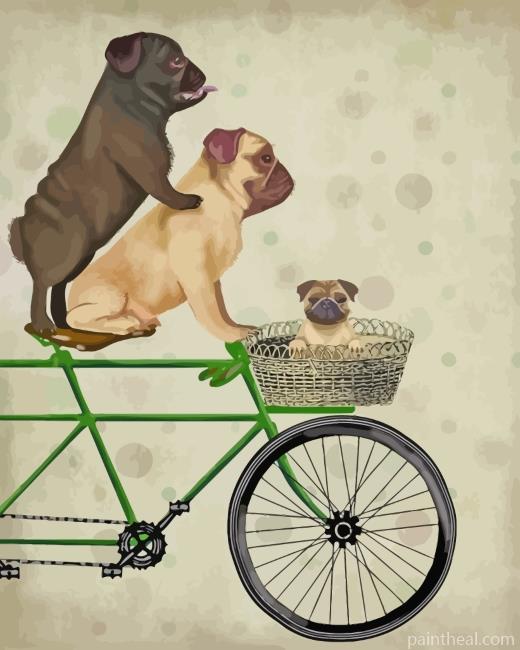 Pugs On Bicycle Painting By Numbers Kits