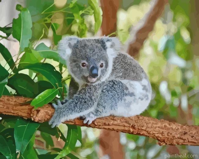 Koala On Tree Branch Painting By Numbers Kits