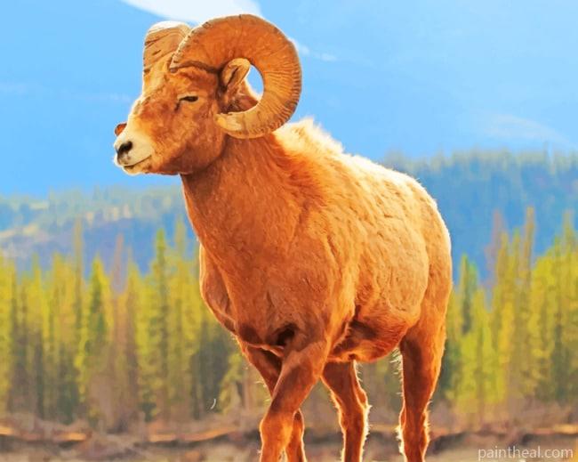 Bighorn Sheep Animal Painting By Numbers Kits