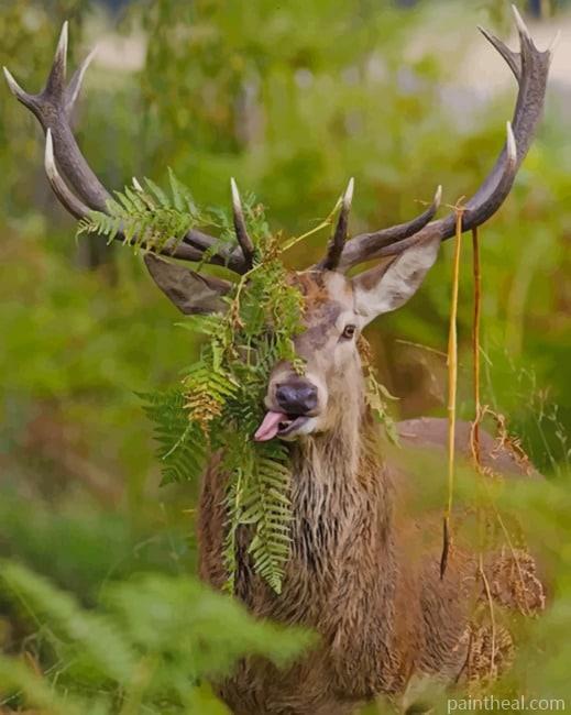 Deer In The Forest Painting By Numbers Kits