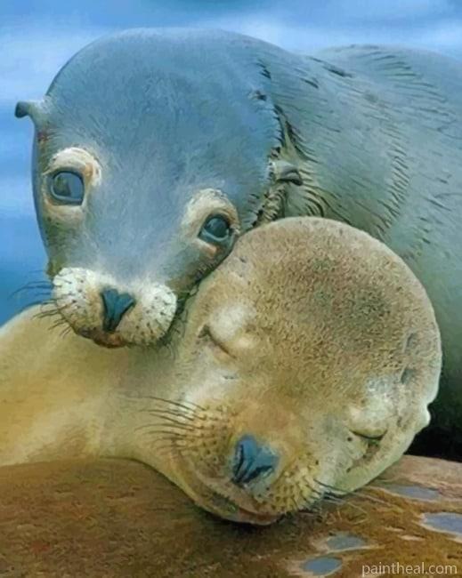 Sea Lions Painting By Numbers Kits