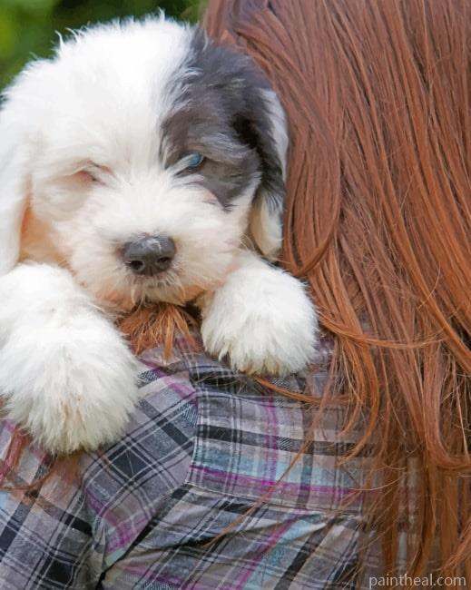Lady Holding White Puppy Painting By Numbers Kits