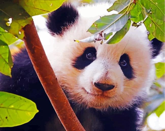 Panda In Jungle Painting By Numbers Kits