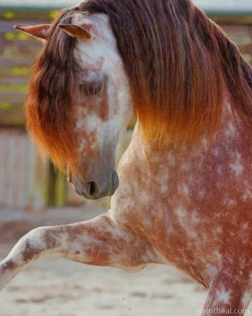 Brown White Horse Painting By Numbers Kits