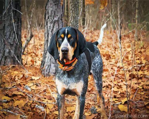 Black Coonhound Dog Painting By Numbers Kits