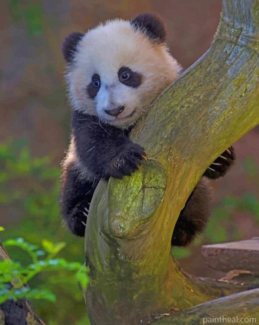 Cute Panda On Tree Painting By Numbers Kits