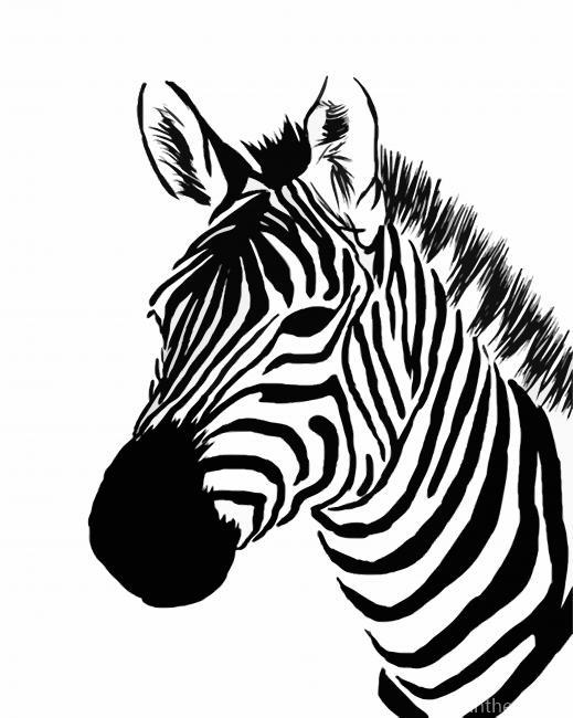 Zebra Head Painting By Numbers Kits