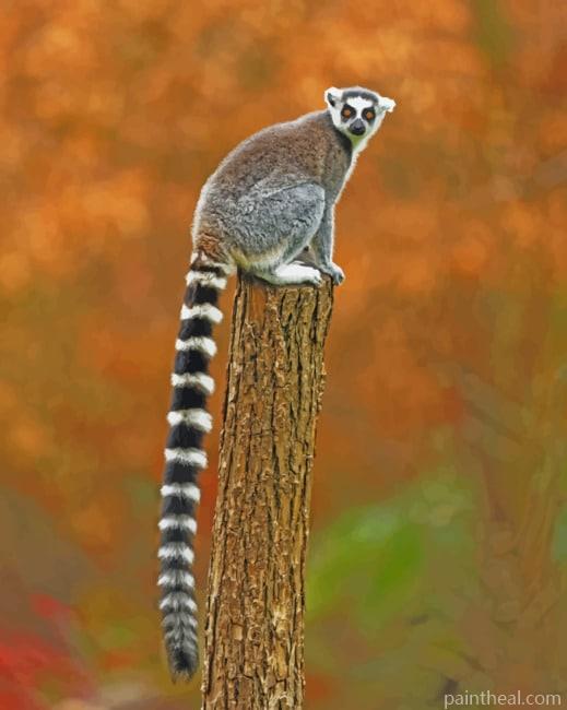 Raccoon Animal With Big Tail Painting By Numbers Kits