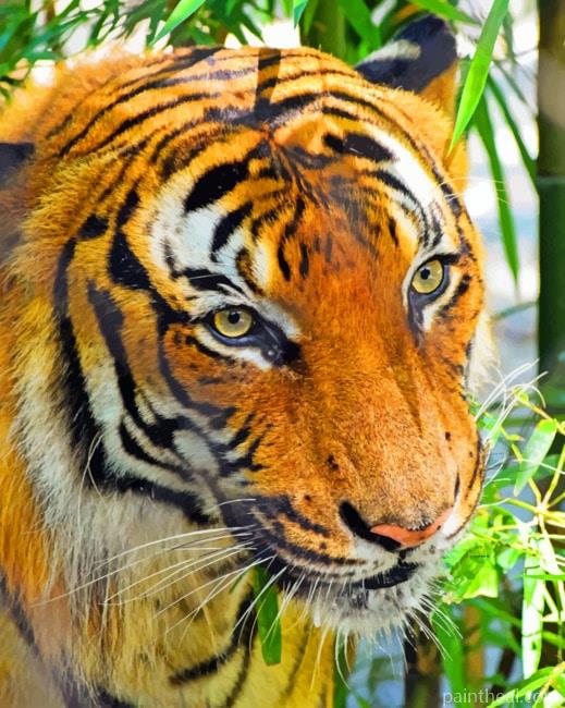 Tiger Face Painting By Numbers Kits