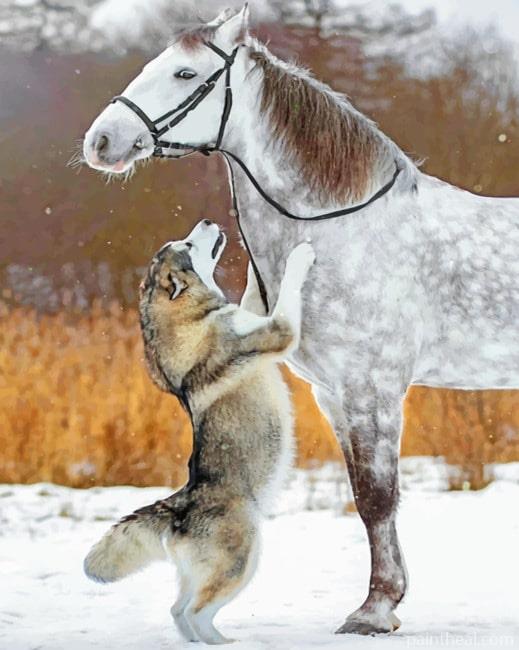 Horse And Husky Painting By Numbers Kits