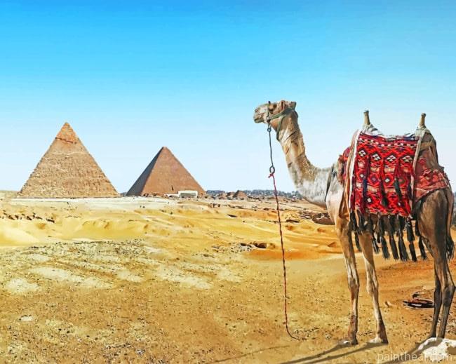 Camel In Egypt Painting By Numbers Kits
