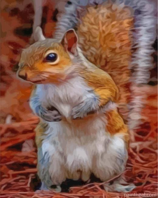Lonely Squirrel Painting By Numbers Kits