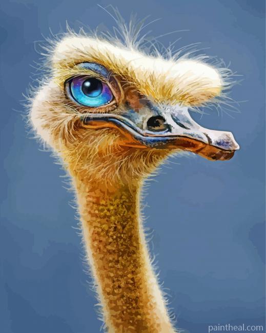 Ostrich With Blue Eyes Painting By Numbers Kits