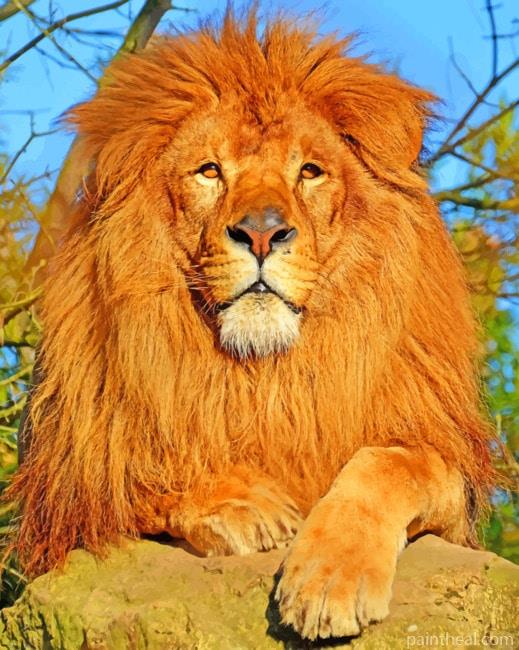Lion On Rock Painting By Numbers Kits