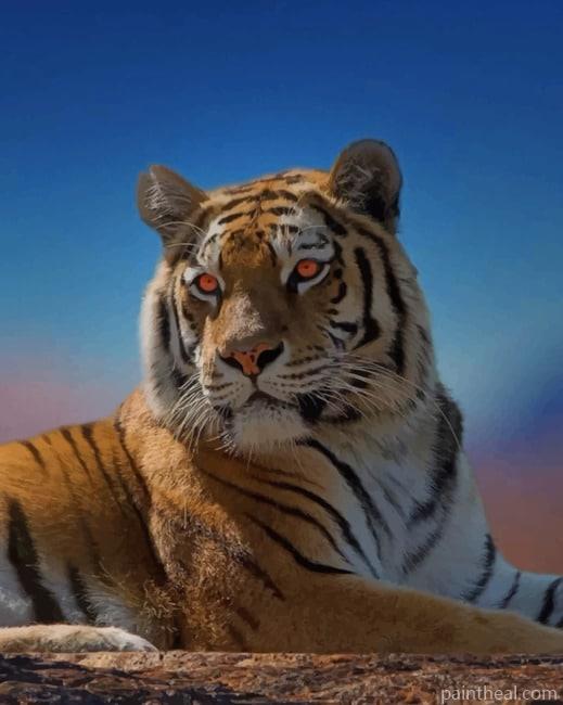Tiger Big Cats Painting By Numbers Kits