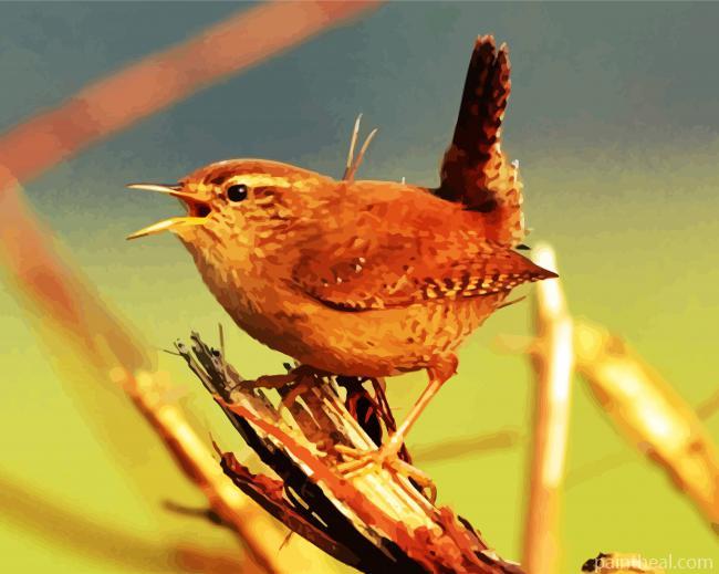 Baby Wren Painting By Numbers Kits