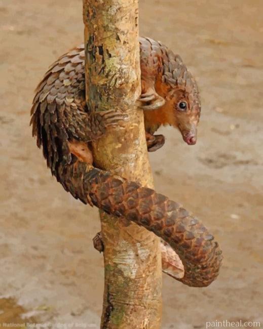 Pangolin Painting By Numbers Kits