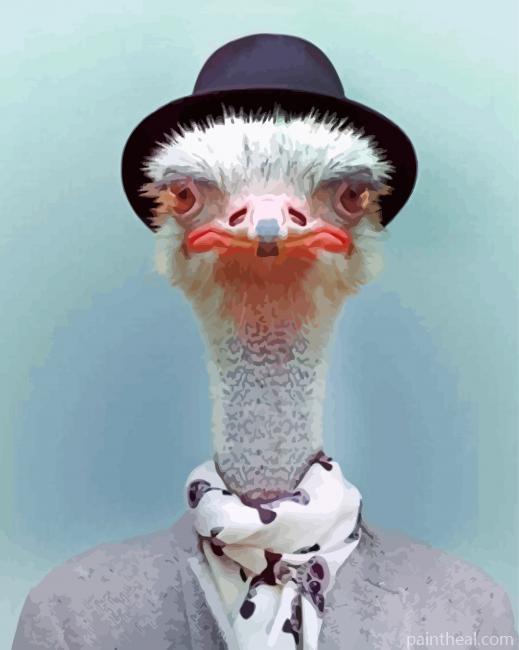 Ostrich With Black Hat Painting By Numbers Kits