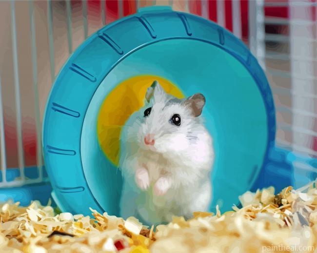 Adorable Hamster Painting By Numbers Kits