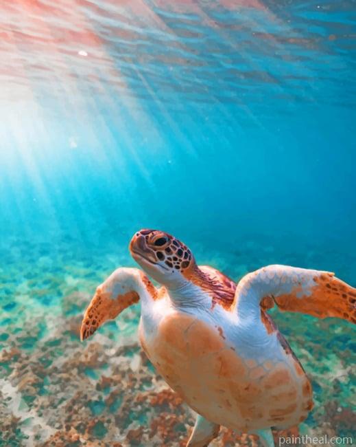 Sea Turtle In The Ocean Painting By Numbers Kits