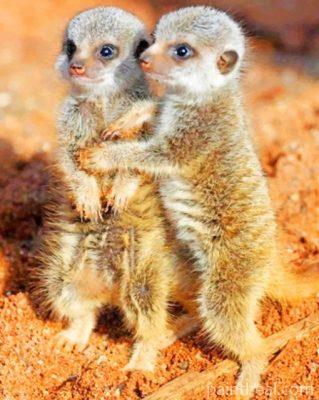 Meerkats Babies Painting By Numbers Kits