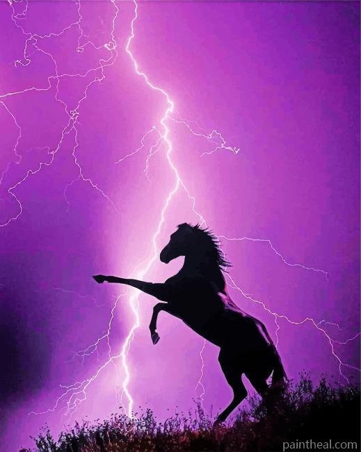 Horse Lightning Painting By Numbers Kits