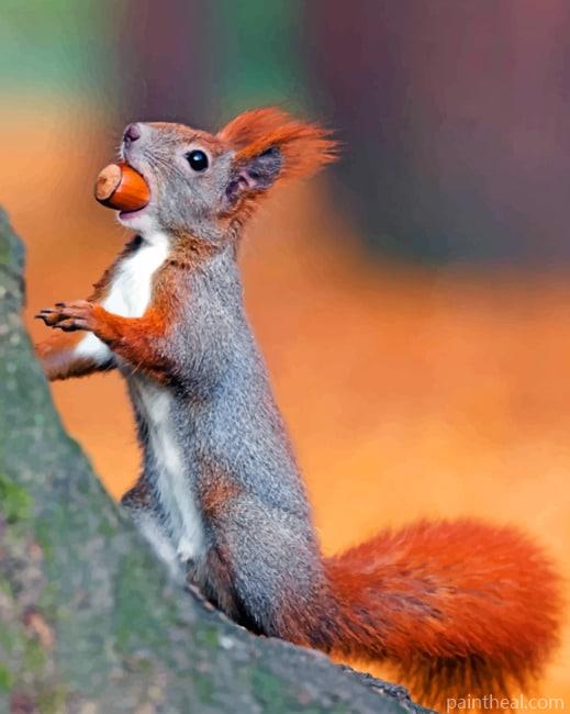 Brown Squirrel Painting By Numbers Kits