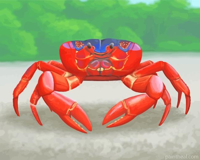 Red Crab Art Painting By Numbers Kits