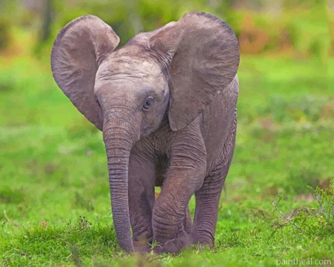 Small Elephant Calf Painting By Numbers Kits