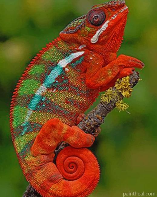 Panther Chameleon Painting By Numbers Kits