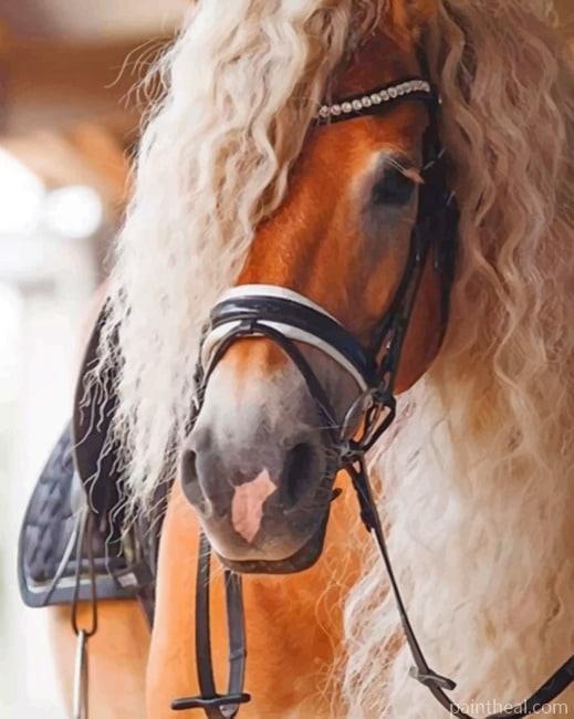 Stallion Horse Painting By Numbers Kits