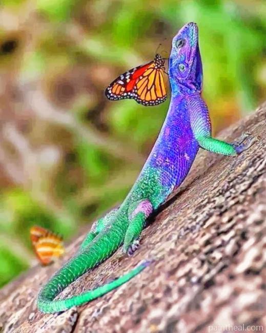 Lizard And Butterfly Painting By Numbers Kits