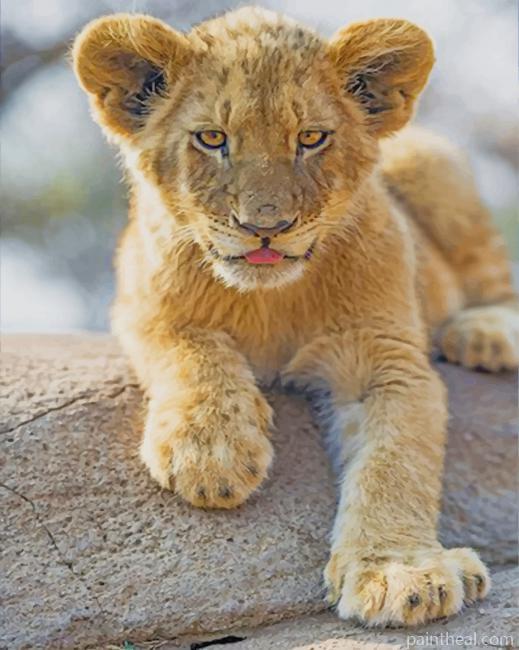 Lion Baby Painting By Numbers Kits