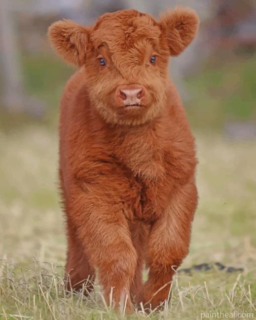 Baby Brown Cow Painting By Numbers Kits